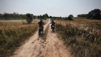 3992d595 d931 4d8b af1a 056378765371